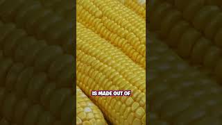 Why Does Corn Come Out Whole?