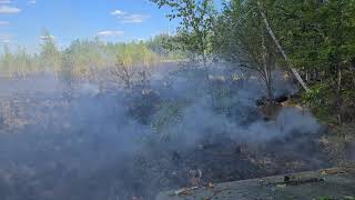 Лесные пожары Якутии 2021!Подсекли огонь вездеходом МТЛБ