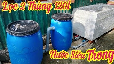 Hồ Cá Koi 1 Khối Nước Đẹp - Trong Vắt - Lọc 2 Thùng 120l Và Bakki Xử Lý Nước.Hồ Bạn Lâm ở Đà Nẵng.