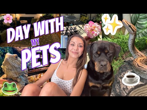 Spend the day with my 40+ PETS 🐾🐸🦎🐶 VLOG