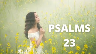 Psalms 23 Beautiful Version