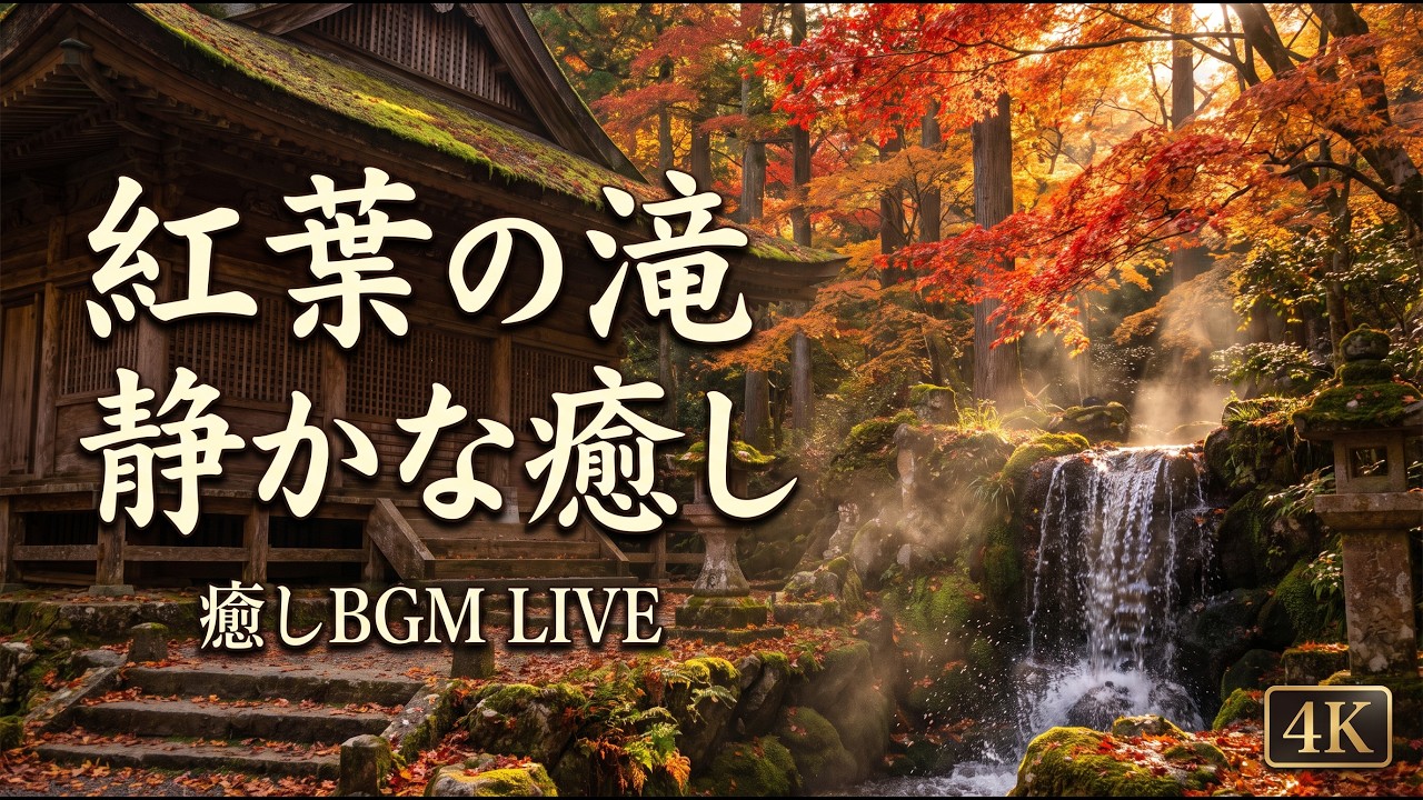 癒しBGM】朝露きらめく竹の小径と池｜琴とフルートで心癒される静かな