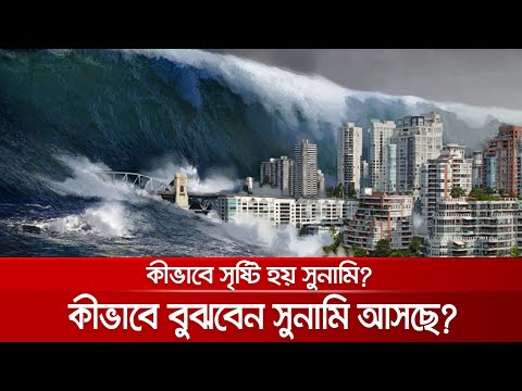 ভিডিও: জাপানে কখন সুনামি হয়েছিল?