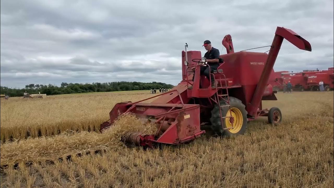Two Massey Harris super 27s harvesting - YouTube