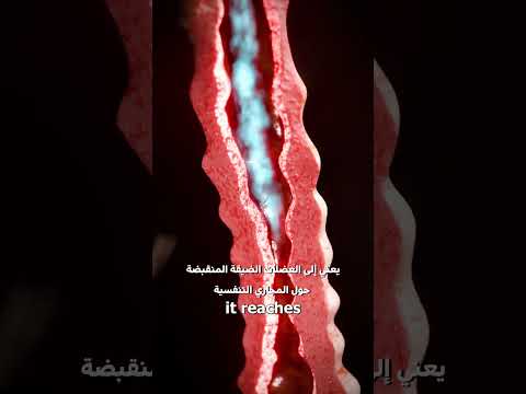 كيف يشتغل بخاخ الربو