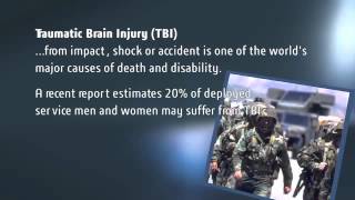 EDS Technologies - Traumatic Brain Injury Analysis with Abaqus