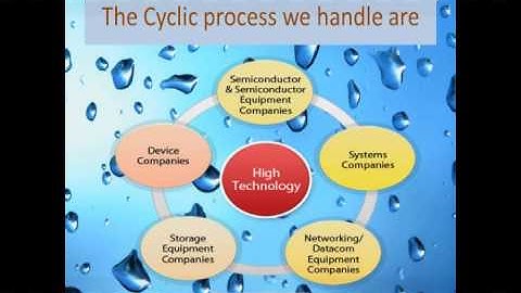 Custom Dolphin Social Networking Development at CrowdFinch