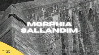 Morphia - Sallandım  Resimi