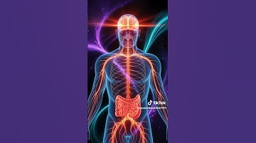 You’re Not Lazy - You’re in Survival Mode #survivalmode #wordvibration  #mindsetmatters