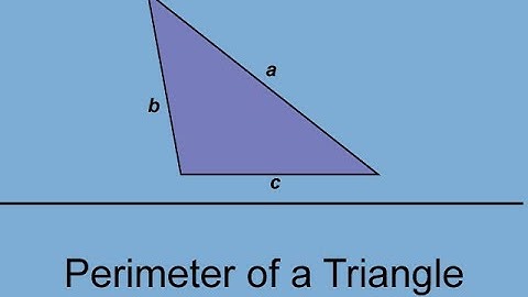 The Perimeter of a Triangle