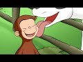 Jorge el Curioso en Español 🐵  ¡Fuera Vacas!  🐵 Episodio Completo 🐵 Caricaturas Para Niños