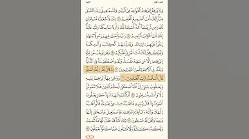 تلاوة ياسر الدوسري | سورة البقرة 130- 131 | قرآن كريم– Surah Al-Baqara #yasseraldossary #تلاوة_عذبة
