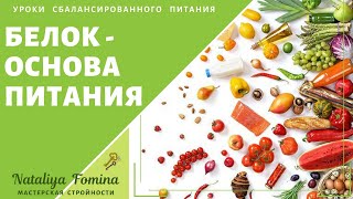Урок 3. Белок - основа сбалансированного питания человека Урок 3. Белок - основа сбалансированного питания человека