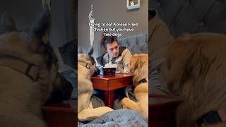 Its Nearly Impossible To Do Mukbang With Two Doggos