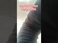 आप सभी को प्यार भरा गुड मॉर्निंग आज सुबेरे सुबेरे का मौसम देखिये कितना कोहरा लगा है Rupeshkumarblog