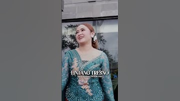 Lintang Tresno - Intan ChaCha #fypシ゚viral #fyp