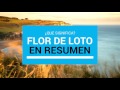 SIGNIFICADO DE FLOR DE LOTO ¿Que es?