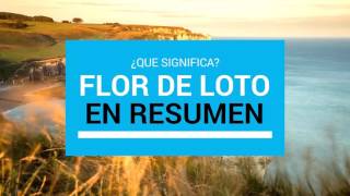 SIGNIFICADO DE FLOR DE LOTO ¿Que es?