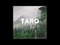 Taro  progressivehouse melodichouse  melodictechno mixed by mja music switzerland