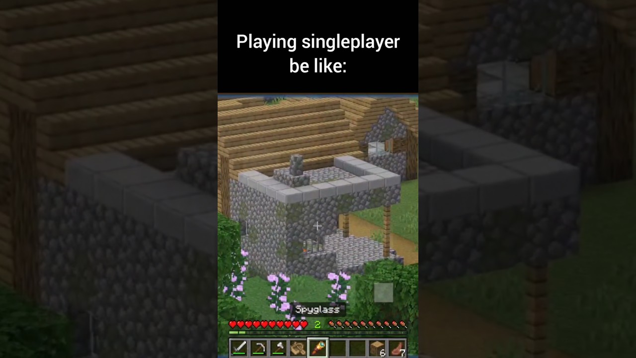 Minecraft Singleplayer meme 