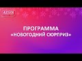 ПРОГРАММА НОВОГОДНИЙ СЮРПРИЗ В 1 КАТАЛОГЕ