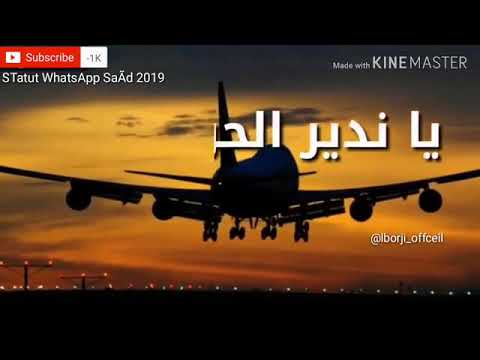 Teyara Wla Fi Babor Whatsapp Story