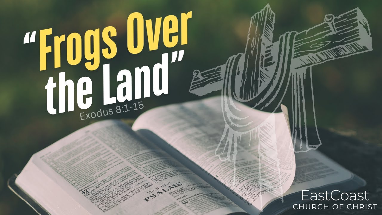 "Frogs over the Land" @newbrunswickcanada