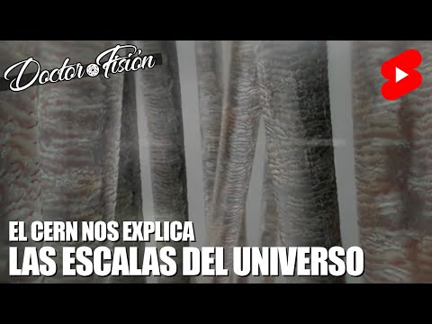 Vídeo: Què significa la paraula CERN?