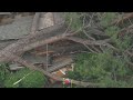 Massive tree topples onto Monrovia house