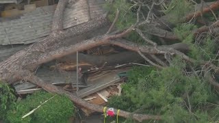 Massive tree topples onto Monrovia house