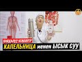 КАПЕЛЬНИЦА менен ЫСЫК СУУ. ВРАЧ-ТЕРАПЕВТ ГҮЛСАНА БАПАЕВА