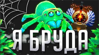 БРУДА НА 7К АВГ С РОФЛЯНЫМ КЕРРИ | БРУДА 7.31D | Broodmother Dota 2