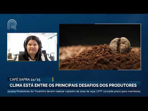 Café safra 2024/25: clima está entre os principais desafios dos produtores | Canal Rural