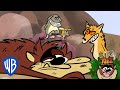 Taz Replacement | Taz Quest For Burger | @wbkids​