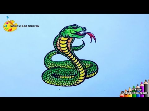 Vẽ Con Rắn Hổ Mang/How To Draw Cobra - Youtube