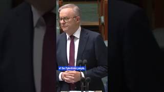 Prime Minister Anthony Albanese Addresses A Labor Senator’s Use Of “From The River To The Sea”