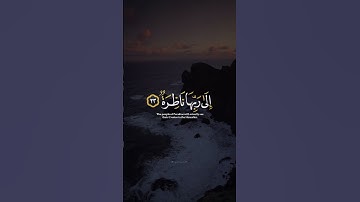 اكتب شي تؤجر عليه ♡✨️ | القارئ عثمان الحداد | قرآن كريم