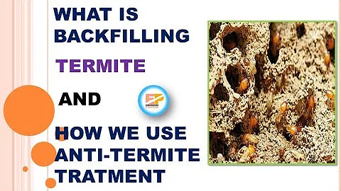 What is Backfilling ? How we define Anti-Termite Treatment || By Engineering Podium