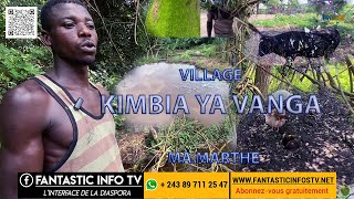 Village Kimbi ya vanga, une découverte pour les agriculteurs d'ici et d'ailleurs