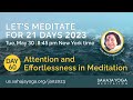 21 Day Meditation Course 2023 | Day 60: Attention and Effortlessness in Meditation