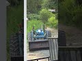 Bear cubs rummage through Twin Pines Farms in Thomaston