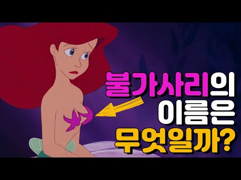 불가사리에 대한 3분 지식 모먼트