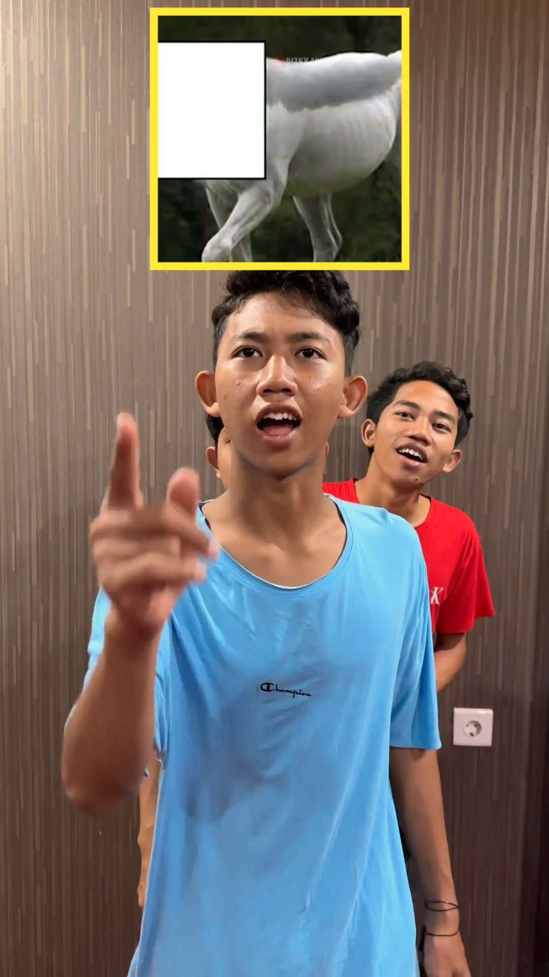 #SHORT | Tebak Nama Hewan Lucu2