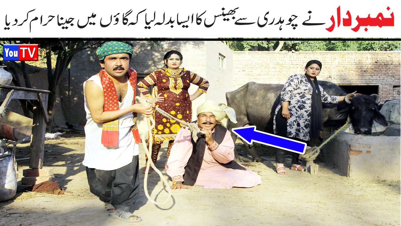 Number daar Ka Choudhry Se Bhains Ka Badla Funny Video | Most Comedy Funny Video | You Tv Hd 2025
