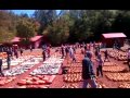 Burts Pumpkin Farm - Dahlonega GA