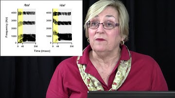 The Neural Basis of Language