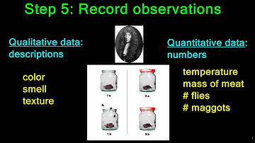 Problem Solving  The Scientific Method