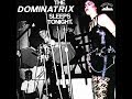 Dominatrix  the dominatrix sleeps tonight dj ratward edit 1984