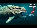 30 biggest creatures ever captured