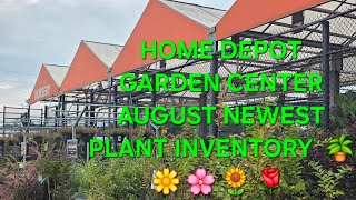 HOME DEPOT GARDEN CENTER - August Newst Plant Inventory Beautiful Plants